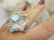 bpee4563 Max blask KRÓLEWSKI KLEJNOT - Max Blask bardzo się mieni na seledynowo i niebiesko  Pierścień Pierścionek z Labradorytami szlif Labradoryt Spektrolit - kamień Zorzy Polarnej r.21/ r.22 Srebro 925 # - 7
