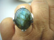 bpe5994 Egzotyczny Masywny Pierścień z Naturalnym Labradorytem w grubych ramionach ze srebra, Wielobarwny Labradoryt Spektrolit r.22 Srebro 925 # - 8