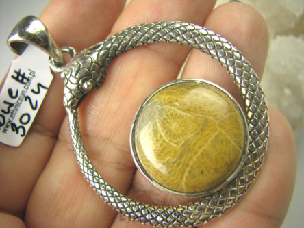bwe3024 śliczny AMULET na Miłość i Pieniądze DUŻY 5,8cm WĄŻ !! Wisior ze srebra KORAL Fossil - Tarczyca , Zmęczenie Trawienie Srebro 925 #