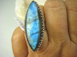 bpe8174 FANTASTYCZNY OKAZ Długi 4.2 cm Egzotyczny Pierścień Labradoryt Spektrolit - kamień Zorzy Polarnej r.17 Srebro 925 # - 6
