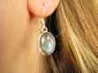 bke1129 Klasyczne Lekkie delikatne Kolczyki LABRADORYT Spektrolit kamień Zorzy Polarnej lśniące Srebro 925 - 3